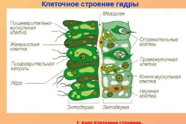 Кракен zerkalo pw